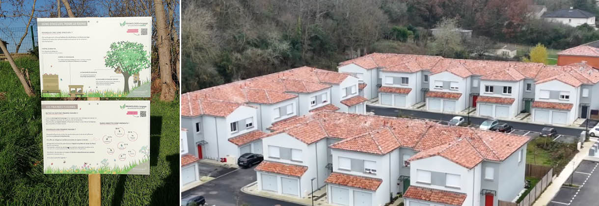 Promologis actualité