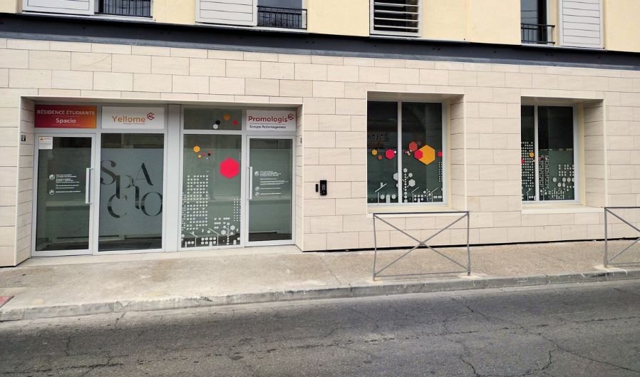 Promologis actualité