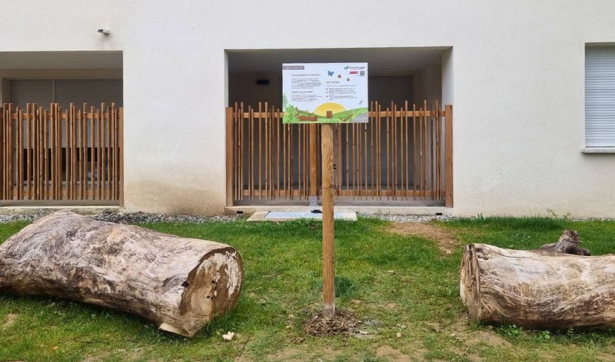 Actualité promologis